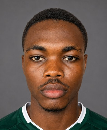 Bamidele Taiwo Mubarak