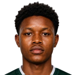Onu Chinedu Destiny